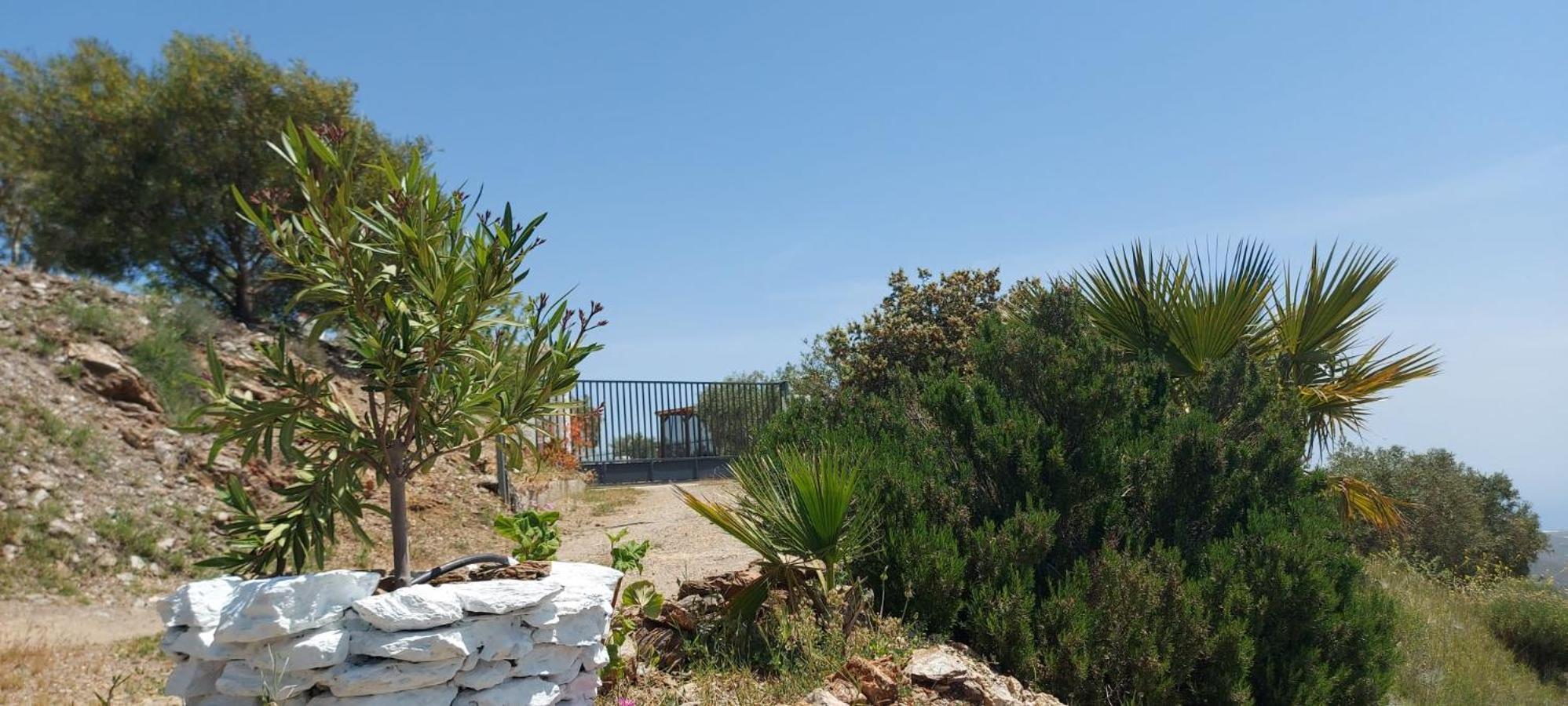 Villa Cortijo Blanco Albondon Exterior foto